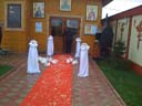 inchirieri porumbei nunta