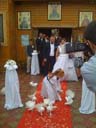 inchirieri porumbei nunta