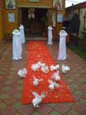 inchirieri porumbei nunta